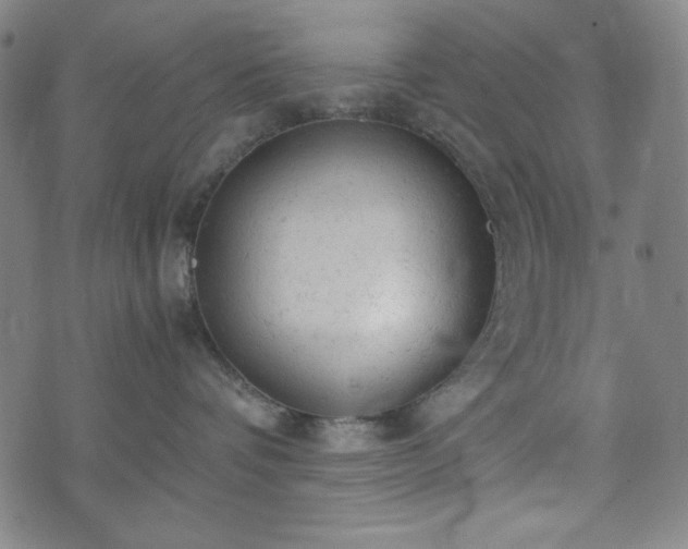 X0000072550336200607211405