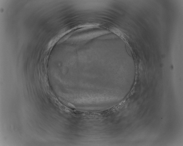 X0000072550337200607211404