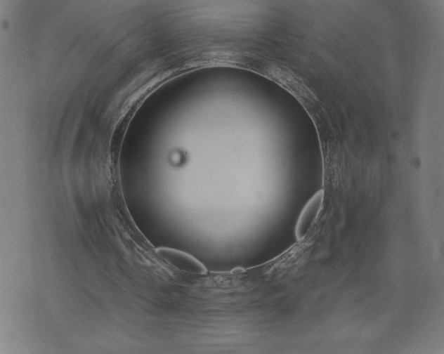 X0000072550338200607211404