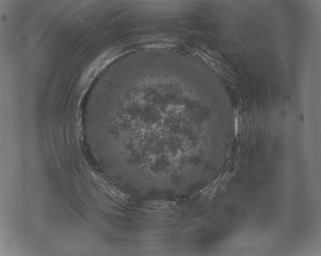 X0000072550339200607211404