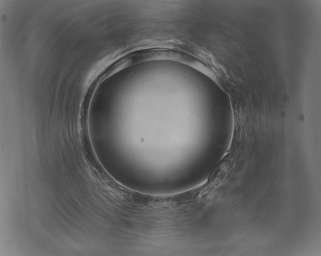 X0000072550340200607211404