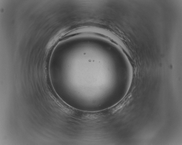 X0000072550341200607211404