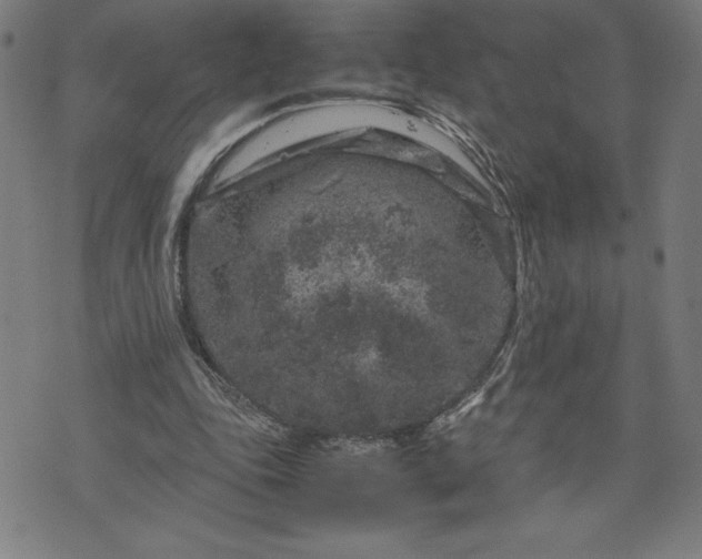 X0000072550343200607211405