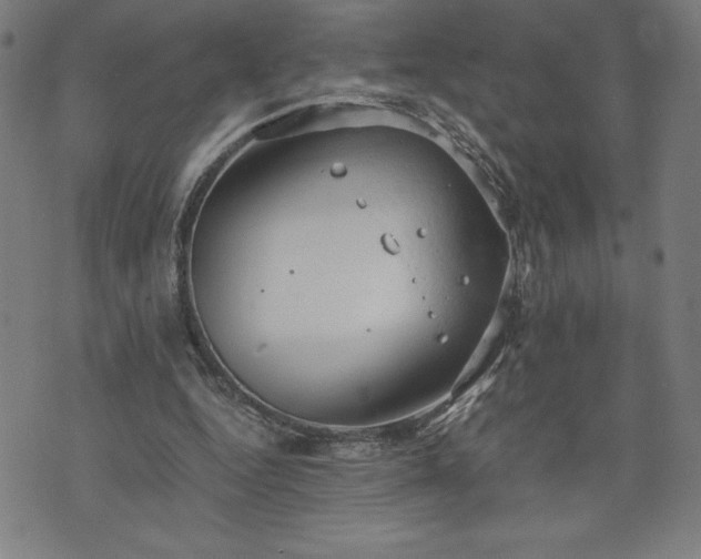 X0000072550344200607211405