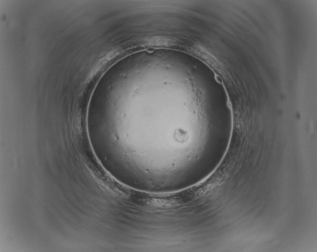 X0000072550347200607211405