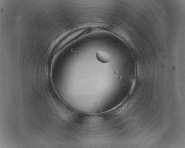 X0000072550348200607211405