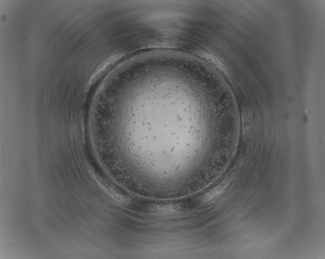 X0000072550349200607211405