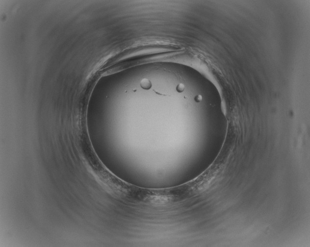 X0000072550352200607211405