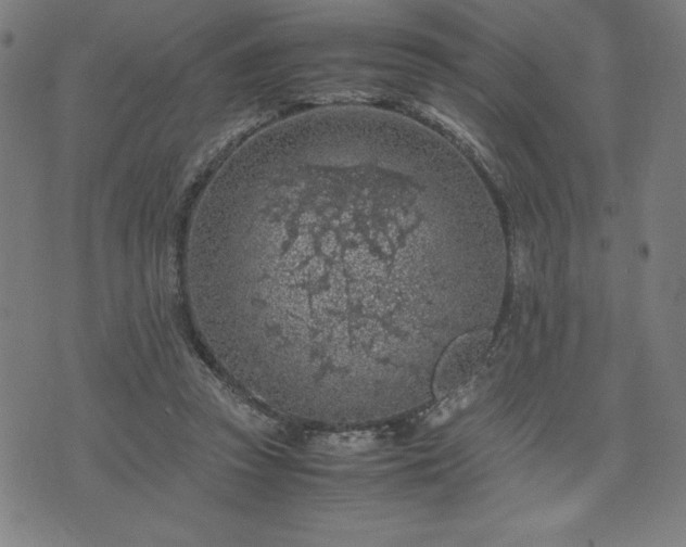 X0000072550353200607211405