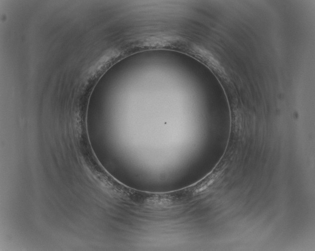 X0000072550354200607211405