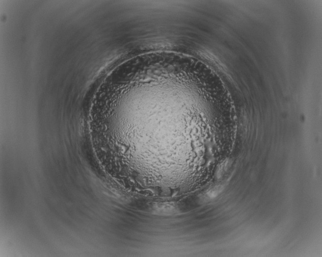 X0000072550355200607211405