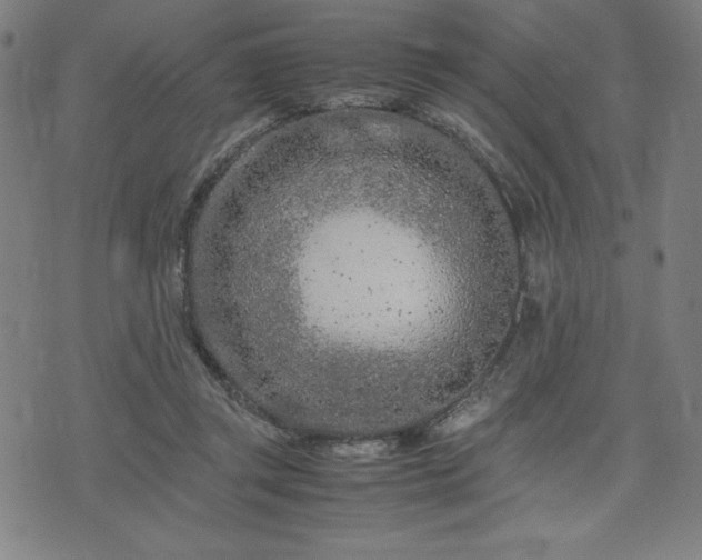 X0000072550357200607211405