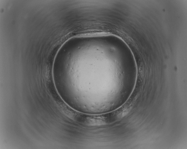 X0000072550359200607211405