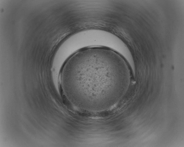 X0000072550360200607211405