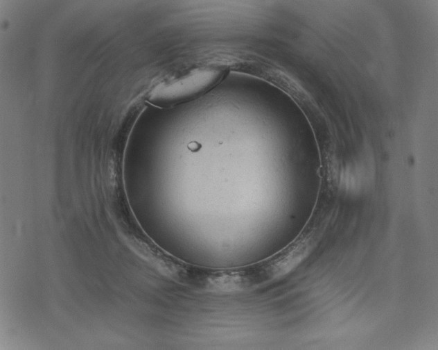 X0000072550362200607211405