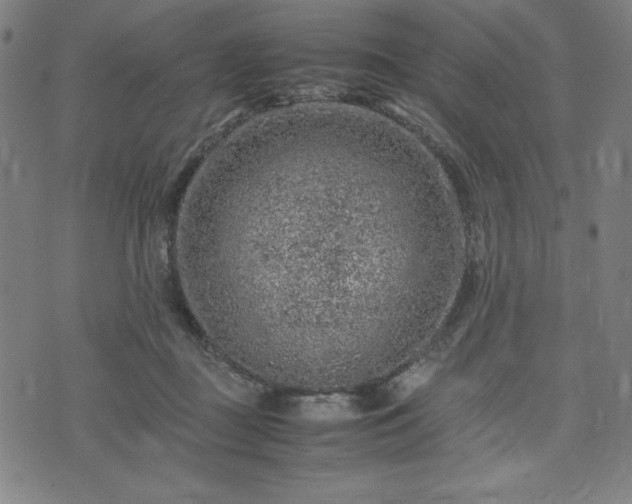 X0000072550363200607211405