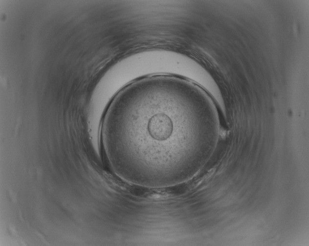 X0000072550364200607211405