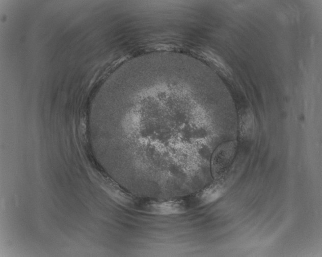 X0000072550365200607211405