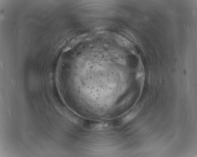 X0000072550366200607211405