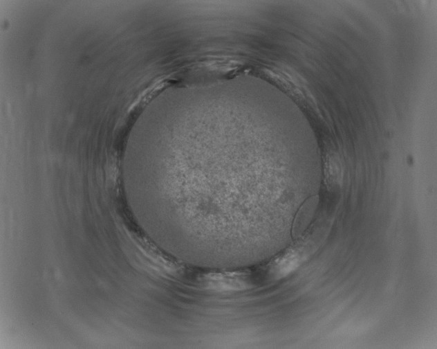 X0000072550367200607211405