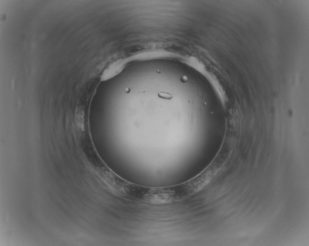 X0000072550368200607211405