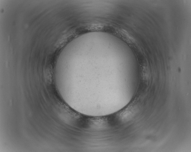 X0000072550370200607211405