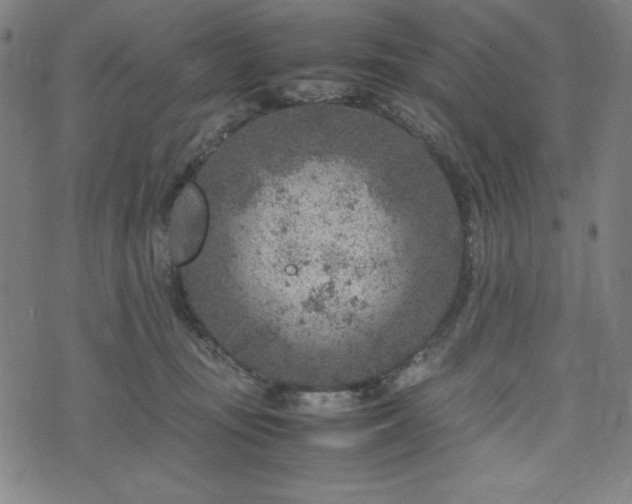 X0000072550371200607211405