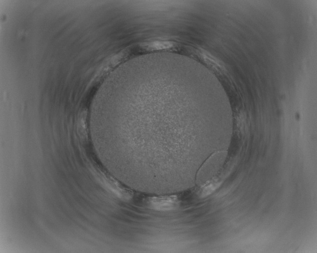 X0000072550373200607211405