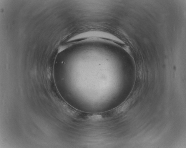 X0000072550374200607211405