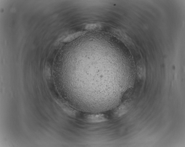 X0000072550375200607211405