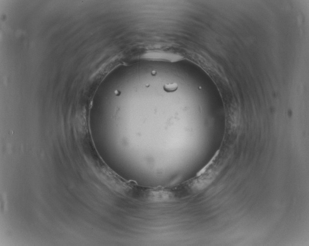 X0000072550376200607211405