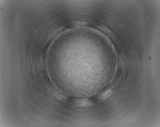 X0000072550377200607211405