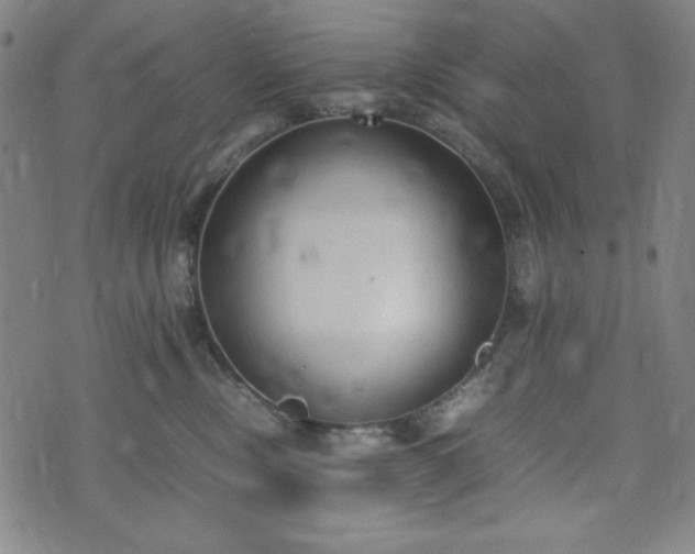 X0000072550378200607211405