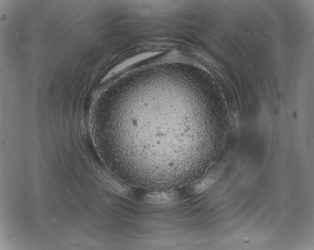 X0000072550381200607211405