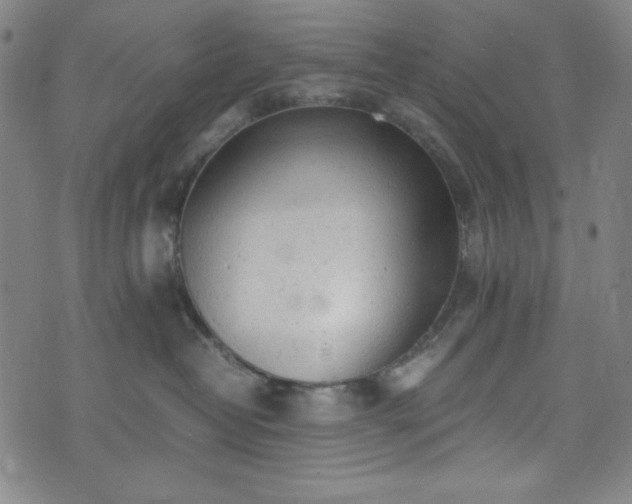 X0000072550382200607211405