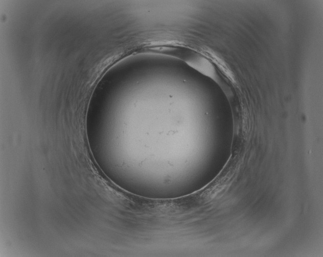 X0000072550385200607211404