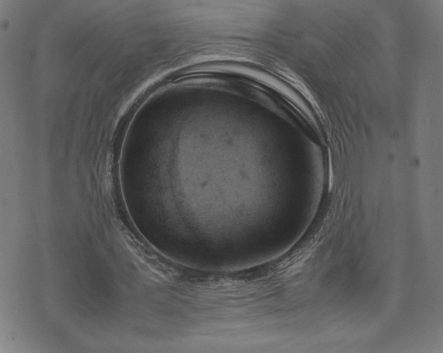 X0000072550387200607211404