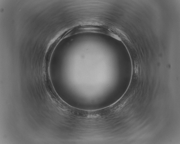 X0000072550388200607211404