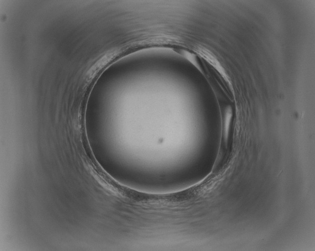 X0000072550389200607211404