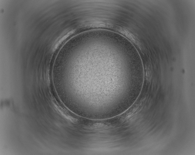 X0000072550390200607211404