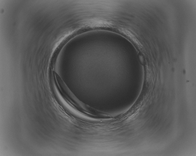 X0000072550391200607211404