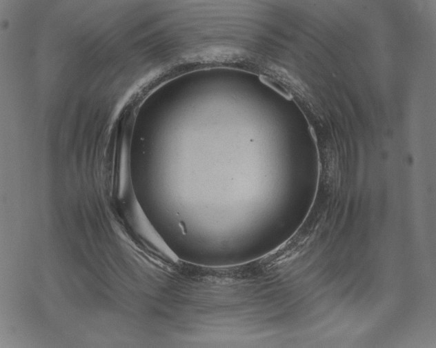 X0000072550392200607211404