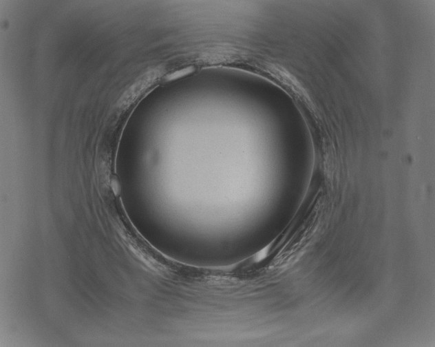 X0000072550393200607211404