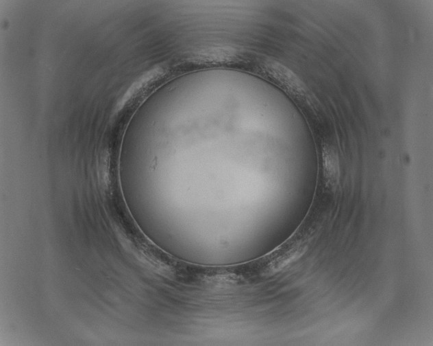 X0000072550396200607211404