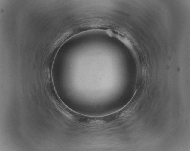 X0000072550397200607211404