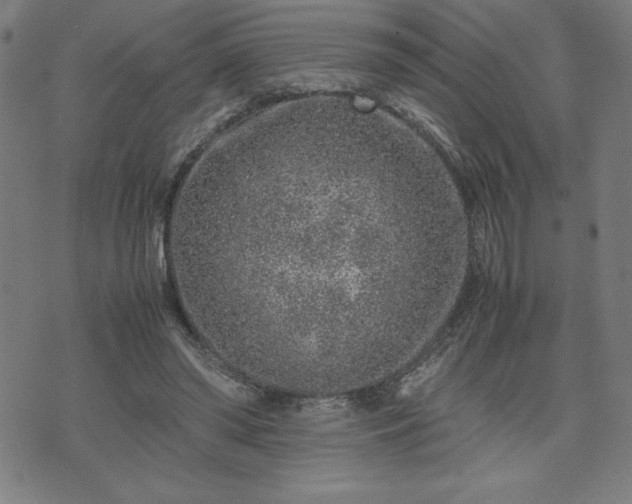 X0000072550398200607211404