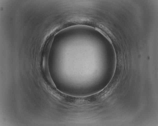 X0000072550399200607211404