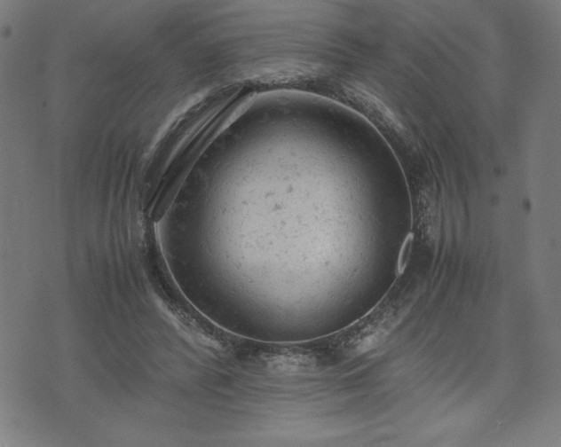 X0000072550400200607211404