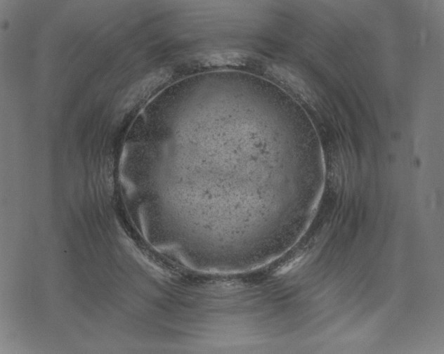 X0000072550402200607211404