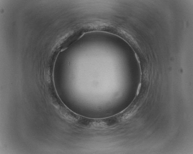 X0000072550403200607211404